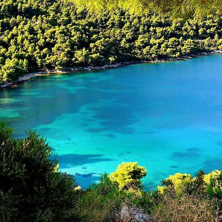 Villa Dora Zuljana Peljesac Croatia Eksteriør bilde